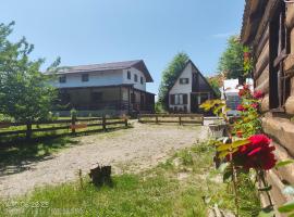 Căsuța de la râu，位于Dumbrăveni的酒店