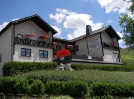 Ferienwohnung Moselpension Gwosch，位于布鲁蒂格-凡克尔的酒店