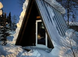 Off-Grid Glamping med Eldstad och Grillplats，位于Borgafjäll的酒店