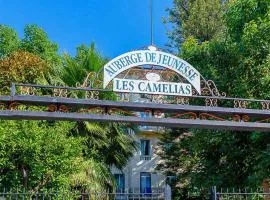 Auberge de Jeunesse HI Nice Les Camélias