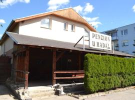 Penzion u Hada，位于霍穆托夫的酒店