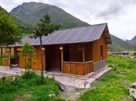 Niade Shatili，位于Shatili的酒店