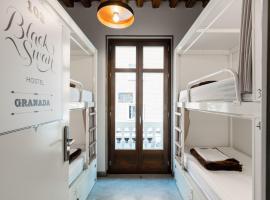 Black Swan Hostel Granada，位于格拉纳达的酒店