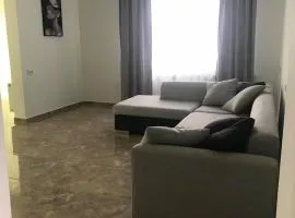 Spacious Apartment in Kojori