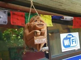 Pokhara Wanderer Hostel