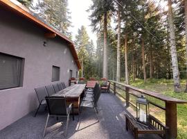 Stylish Alpine Ski Chalet Tirol，位于波罗维茨的别墅