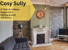 COSY SULLY Centre ville Château，位于卢瓦尔河畔叙利的酒店