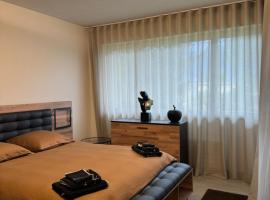 Appartamento con piscina，位于阿斯科纳的酒店
