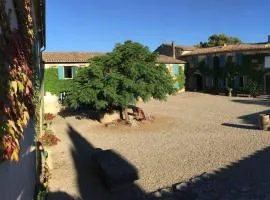 Charmante maison à Laure-Minervois avec piscine et jardin