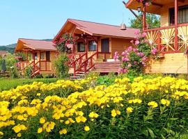 Baltina Parc Transfagarasan，位于阿尔杰什河畔库尔泰亚的酒店