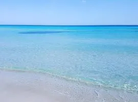 S2 meublé 1er étage kelibia la blanche