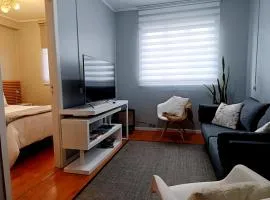 Departamento Carrera Pinto