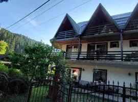 Pensiunea Montan
