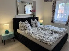 Apartmán Plzeň - Černice