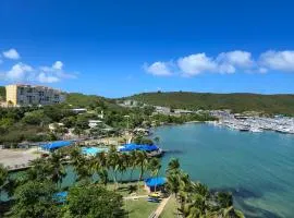 Spacious waterfront apartment, great views & more!
