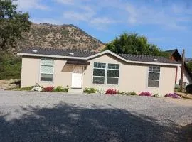 Brand New Scenic Sequoia House