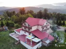 Pensiunea Runcu Stone