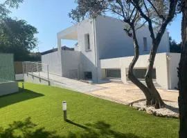DOMO DE MARIA