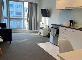 Arthur 2 bedroom 1 living room balcony view wifi gym swiming pool and easy parking