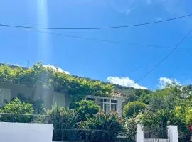 Bee Home - Holiday Cottage