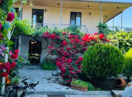 Guesthouse Mtkvari，位于Nak'alak'evi的酒店