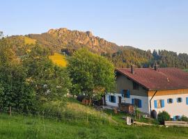 Jungholz Erlebnis，位于容霍尔茨的酒店