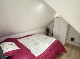 A Lovely and Cosy Studio Apartment