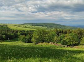 Horský penzion，位于特普利采的酒店