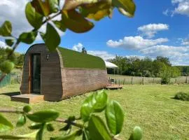 Logement insolite : La Ruche Verte