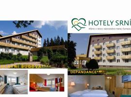 Hotel Srní a Depandance，位于斯尼的酒店