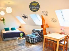 Studio en plein centre de Saint-Omer - à 5 min de la gare, parking gratuit，位于圣奥梅尔的酒店