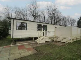 Woodlands Gold WO40