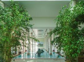 Palazzo Manzi Terme & Spa，位于伊斯基亚的酒店