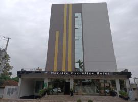 HOTEL MAESTRO EXECUTIVE PATO BRANCO