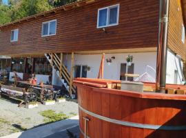 Cabana Dănuțza，位于阿列谢尼的酒店