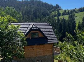 Planinska koliba Dada，位于Popovići的酒店