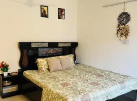 Riddhi Homestays，位于索兰的酒店