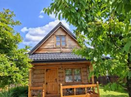 Domki góralskie Gazdówka u Janusza，位于波拉齐克的酒店