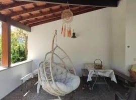 Quinta de São João