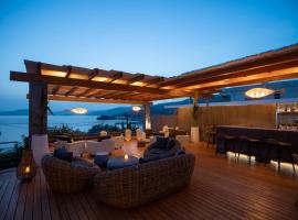 Seaside apartments，位于Alikí的酒店