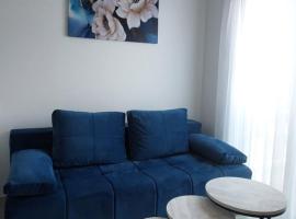 Apartman Vaske 1，位于布尔奇科的酒店