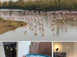 Villa l'Eden de Camargue- Spa et Nature，位于Candillargues的酒店