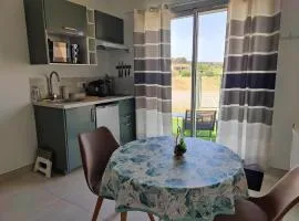 Studio cosy bordé par les vignes