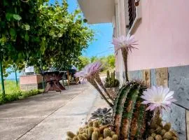 4 Roses Residence VRTNICA