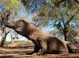 4D3N CRUISE Lombok-Komodo-Flores