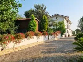 弗拉斯卡蒂特拉扎住宿加早餐旅馆