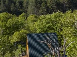 Pinehouse Urtkhva in Surami