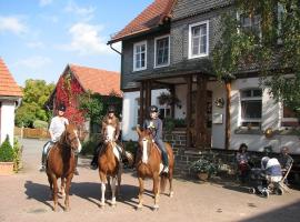 Reiterlandhof，位于Neukirchen的酒店