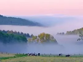 Auprès de mon arbre