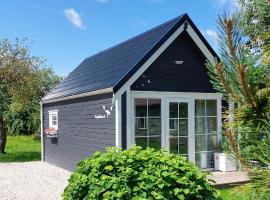 Apgyvendinimas Rokiskyje namukas Skandis，位于罗基什基斯的酒店